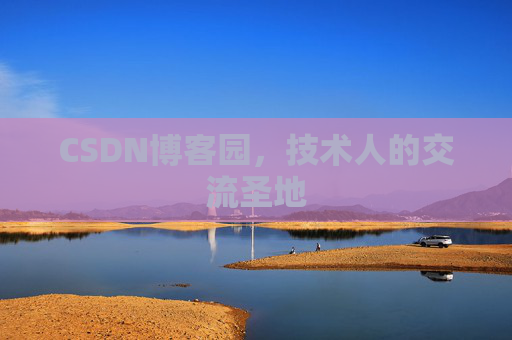 CSDN博客园，技术人的交流圣地